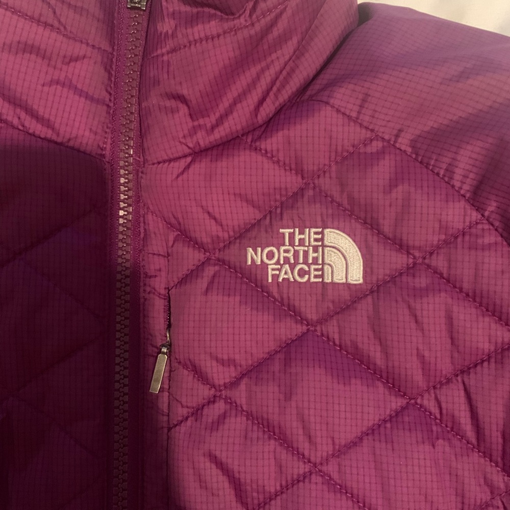 North Face Puffed Jacket - image 2
